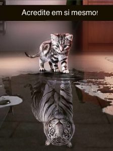 Acreditar em si, desperte o tigre em você!